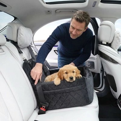 Siege auto pour chien noir avec chien 