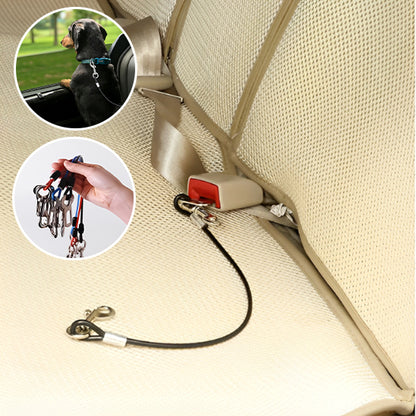 Spécial laisse pour chien voiture