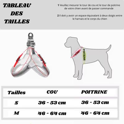 tableau tailles harnais pour chien