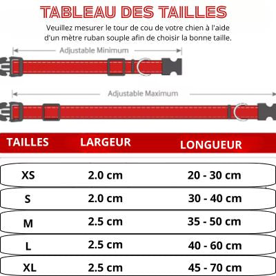Tableaux des tailles collier pour chien