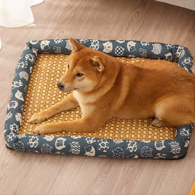 Tapis Chien rafraichissant bleu motif chat