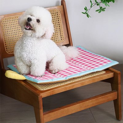Tapis rafraîchissant Chien assis sur le tapis sur une chaisse
