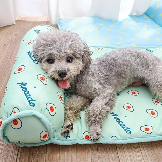 Tapis rafraîchissant chien facile à nettoyé 