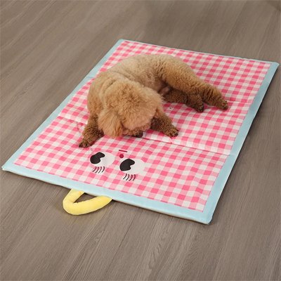 Tapis rafraîchissant Chien faisant la sieste sur tapis