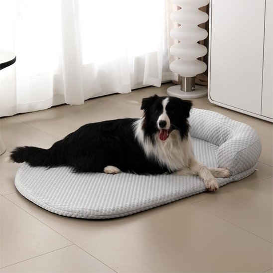 Tapis rafraichissant chien gris chien allongé 