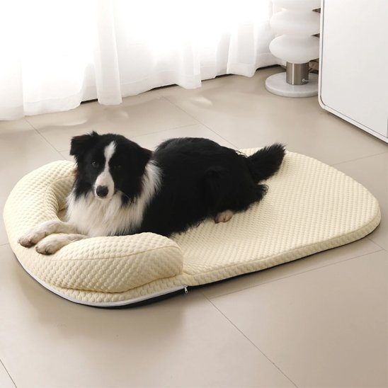 Tapis rafraichissant chien jaune chien installé confortablement