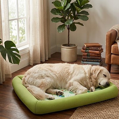Tapis rafraichissant Chien pour le bien-être du chien