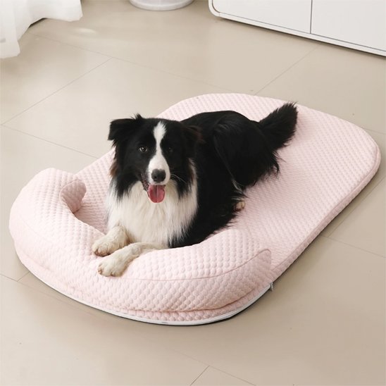 Tapis rafraichissant chien ros