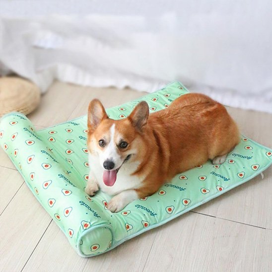 Tapis rafraîchissant chien vert