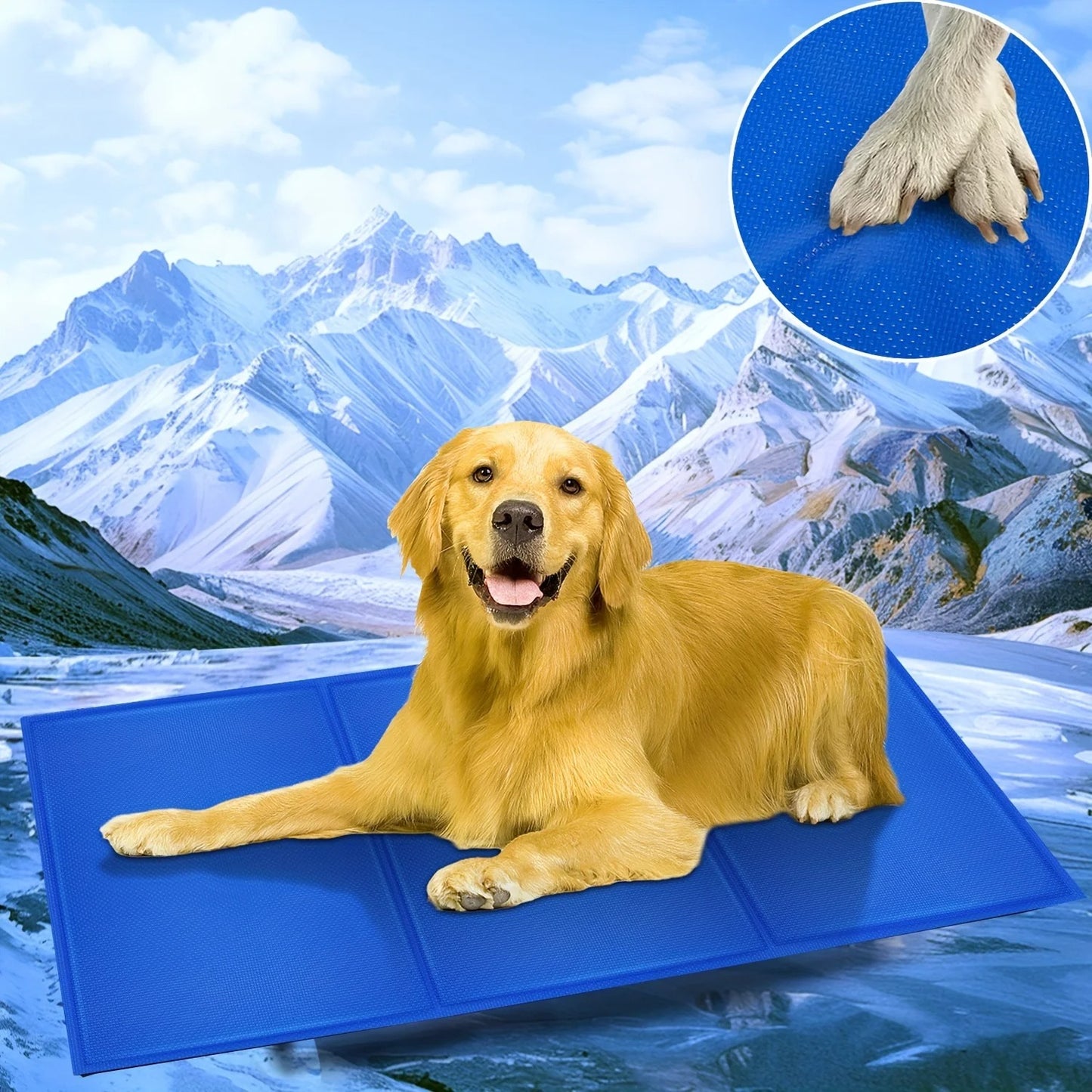 tapis rafraichissant pour chien anti rayure