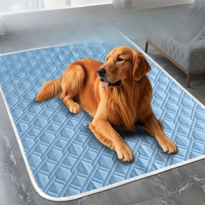 tapis rafraichissant pour chien durable