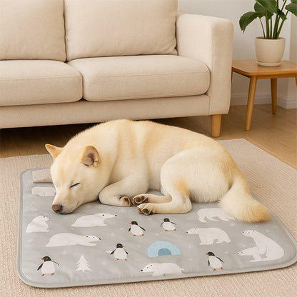 Tapis rafraichissant pour chien efficace 
