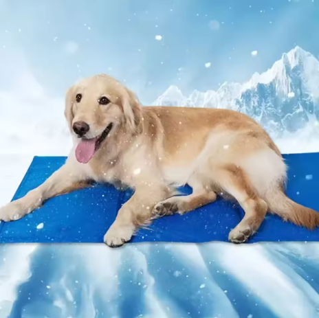Tapis rafraichissant pour chien épais bleu marine