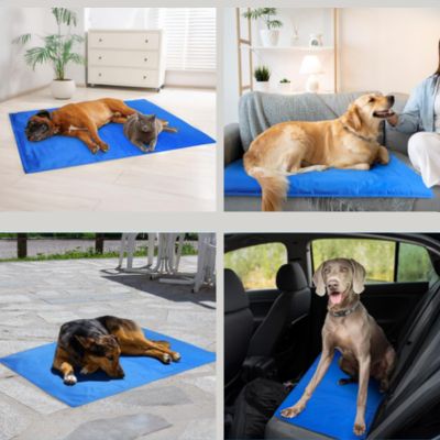 tapis rafraichissant pour chien polyvalent