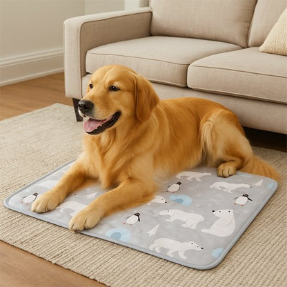 Tapis rafraichissant pour chien régulateur 