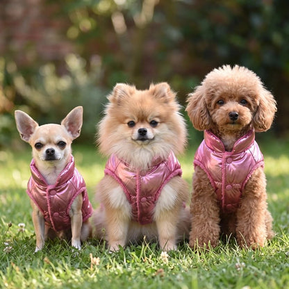 Tout les chiens porte Manteau Pour Petit Chien de couleur rose