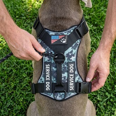Trailbuddy harnais chien couleur camouflage