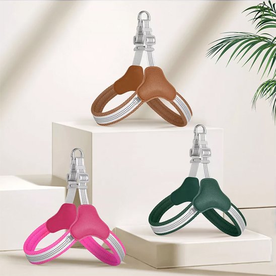 trois harnais pour chien