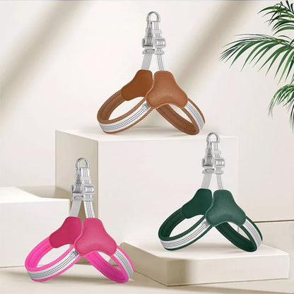 trois harnais pour chien