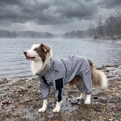 Un chien balade lac combinaison imperméable chien