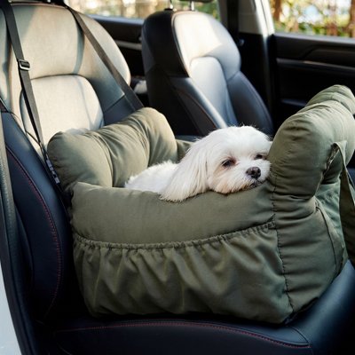 un dors dans son Siege auto pour chien transportable