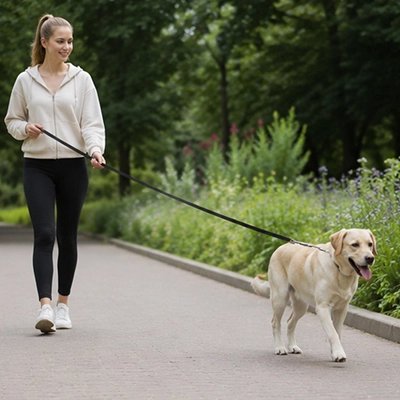 Un labrador balade en Longe pour Chien dans un parc