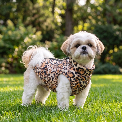 Un petit bichon balade Manteau pour Chien