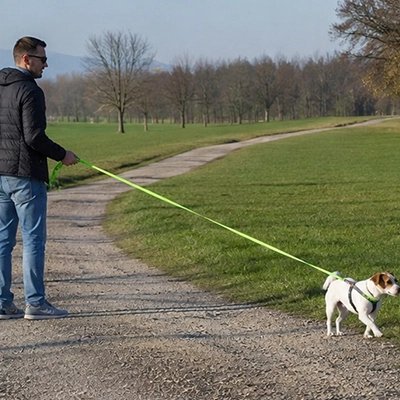 une sortie du chien avec une Longe pour Chien vert fluo