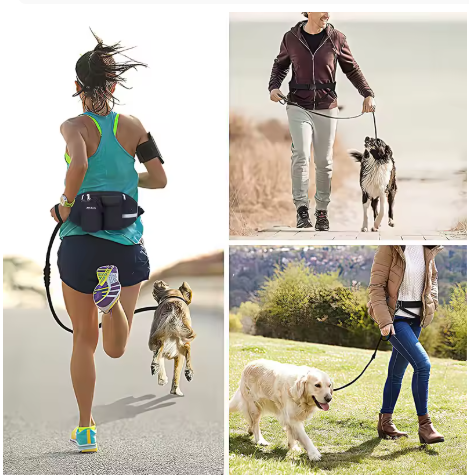 walkingbanana en situation laisse canicross