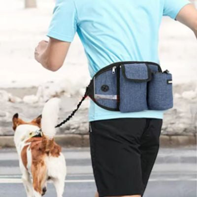 walkingbanana jeune homme faisant jogging laisse canicros