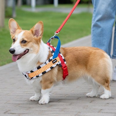 WoufStyle Harnais pour Chien colorés anti traction