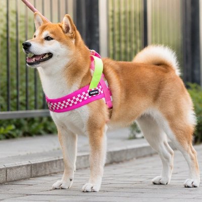 WoufStyle Harnais pour Chien rose et vert