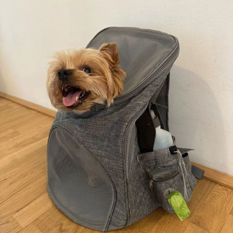 Yorkshire dans Sac à dos pour chien gris