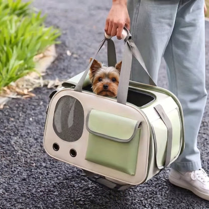 Yorkshire dans sac de transport pour chien