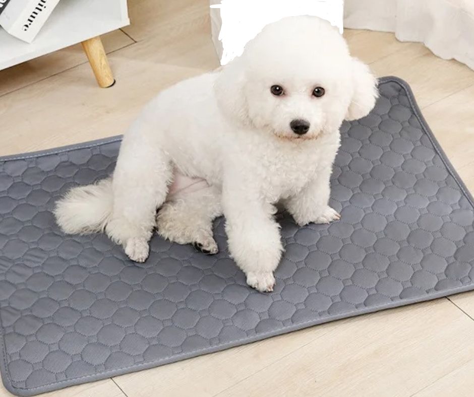 Absorbent Carpet™-Tapis absorbant & imperméable - Snotoutou