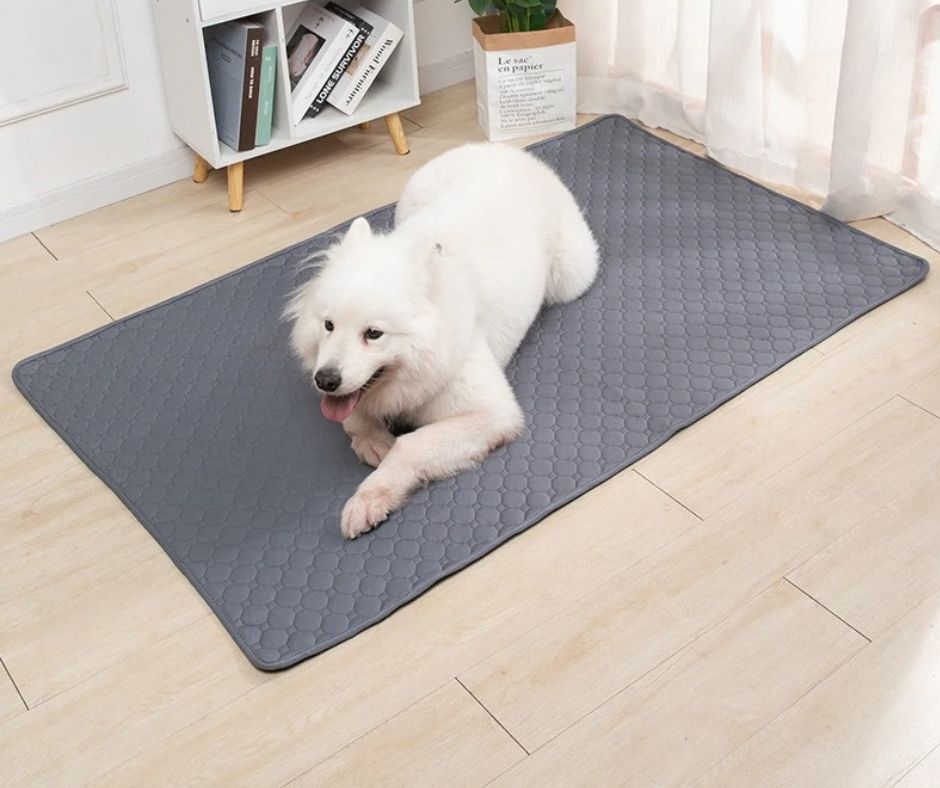 Absorbent Carpet™-Tapis absorbant & imperméable - Snotoutou