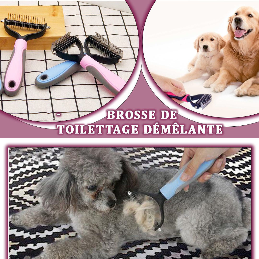 Grooming Comb™ I Peigne de toilettage - Snotoutou