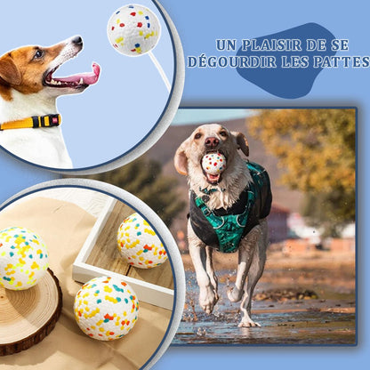 Interactive Ball™ I Balle Interactive - Snotoutou
